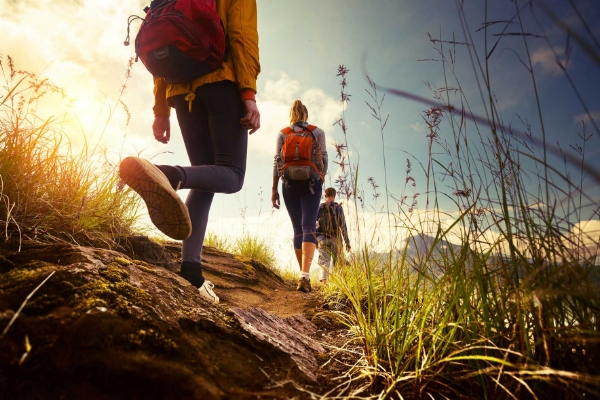 Partenaire Informatique Editeur Logiciels Medico Social Et Sejours Adaptes Nv Slide Logiciels Partenaire Informatique Editeur Logiciels Medico Social Et Sejours Adaptes Nv Slide Logiciels